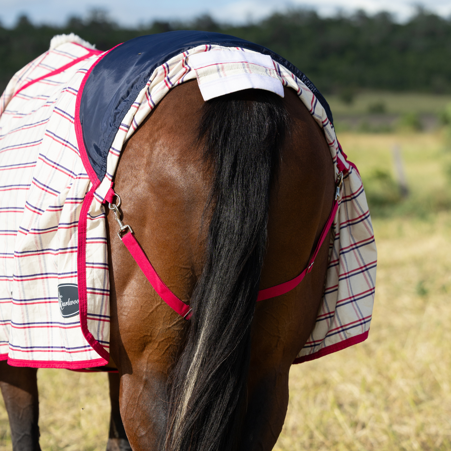 Earlwood Magenta Check Tail Bag