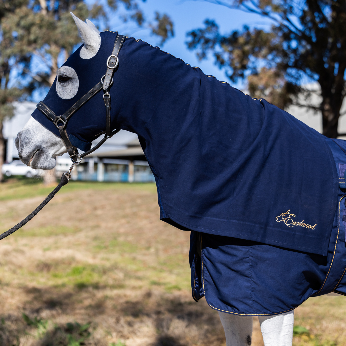 Earlwood Navy-Gold Hood - ZIPPED UP!