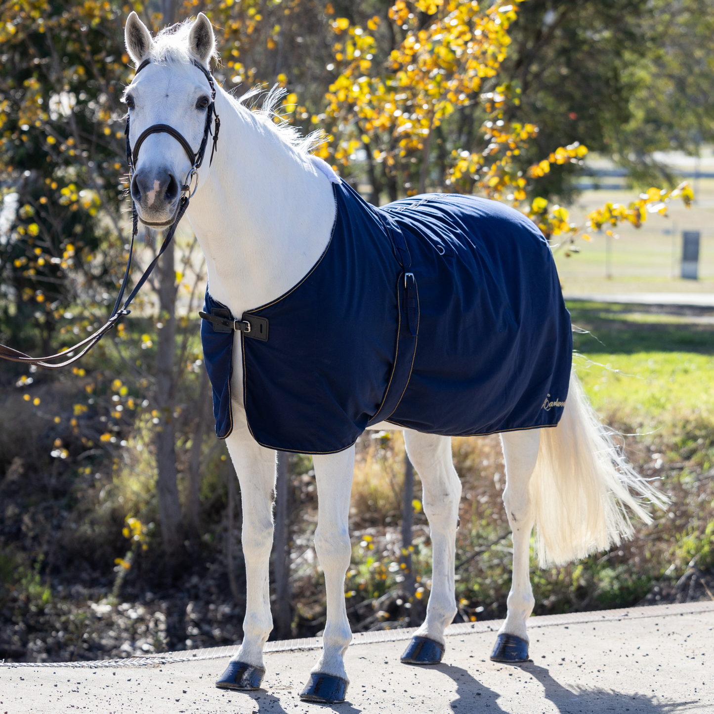 Earlwood Navy-GOLD Cotton Show Rug & Tail Bag