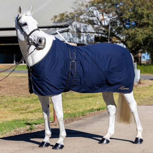 Earlwood Navy-GOLD Cotton Show Rug & Tail Bag