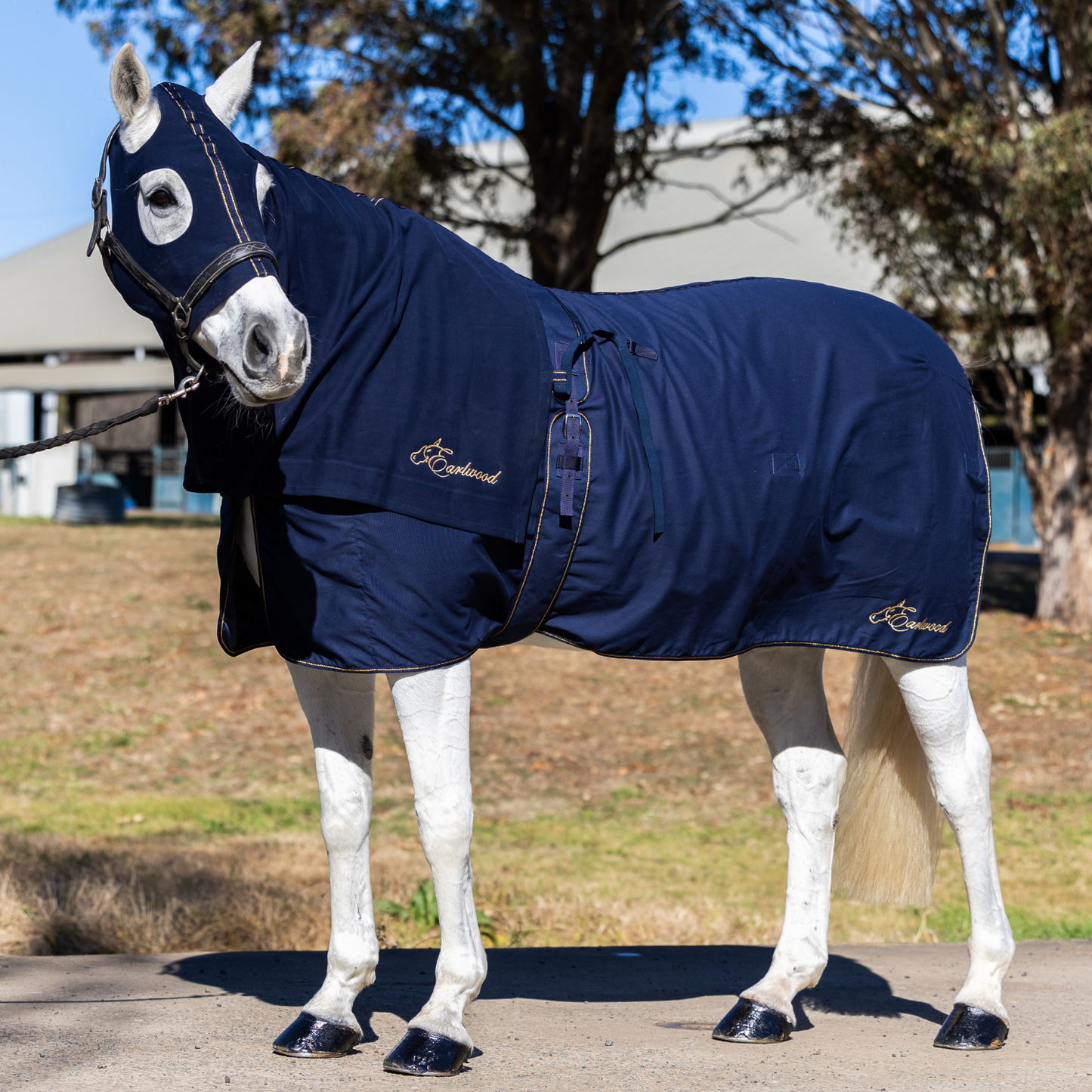 Earlwood Navy-GOLD Cotton Show Rug & Tail Bag