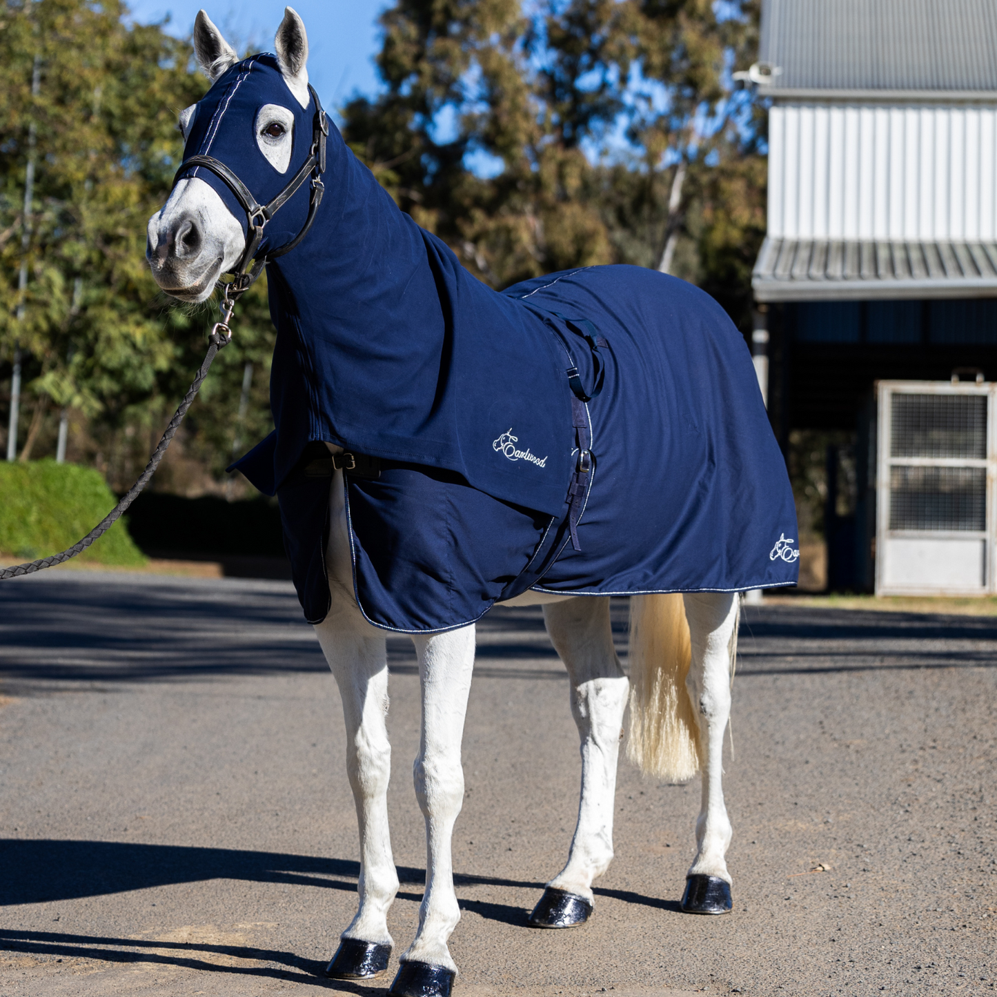 Earlwood Navy-Silver Hood - ZIPPED UP!