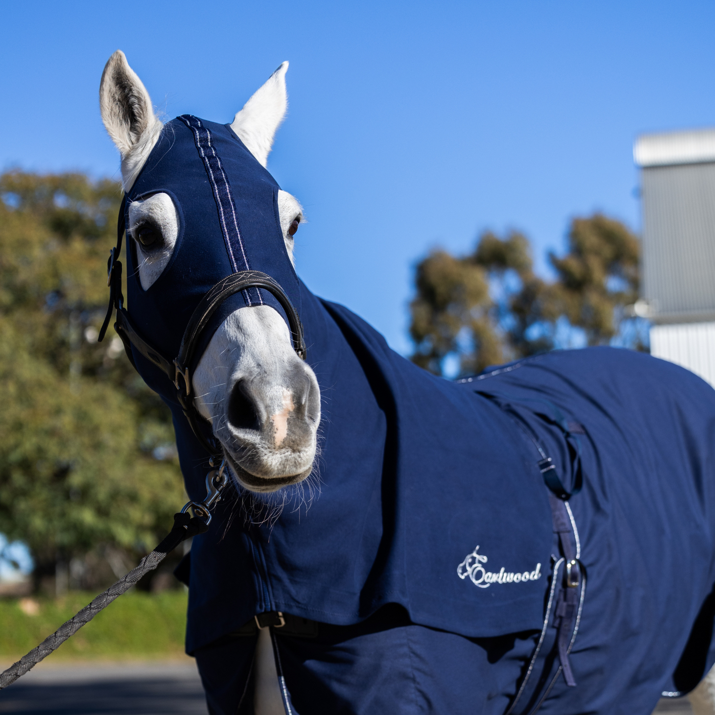 Earlwood Navy-Silver Hood - ZIPPED UP!