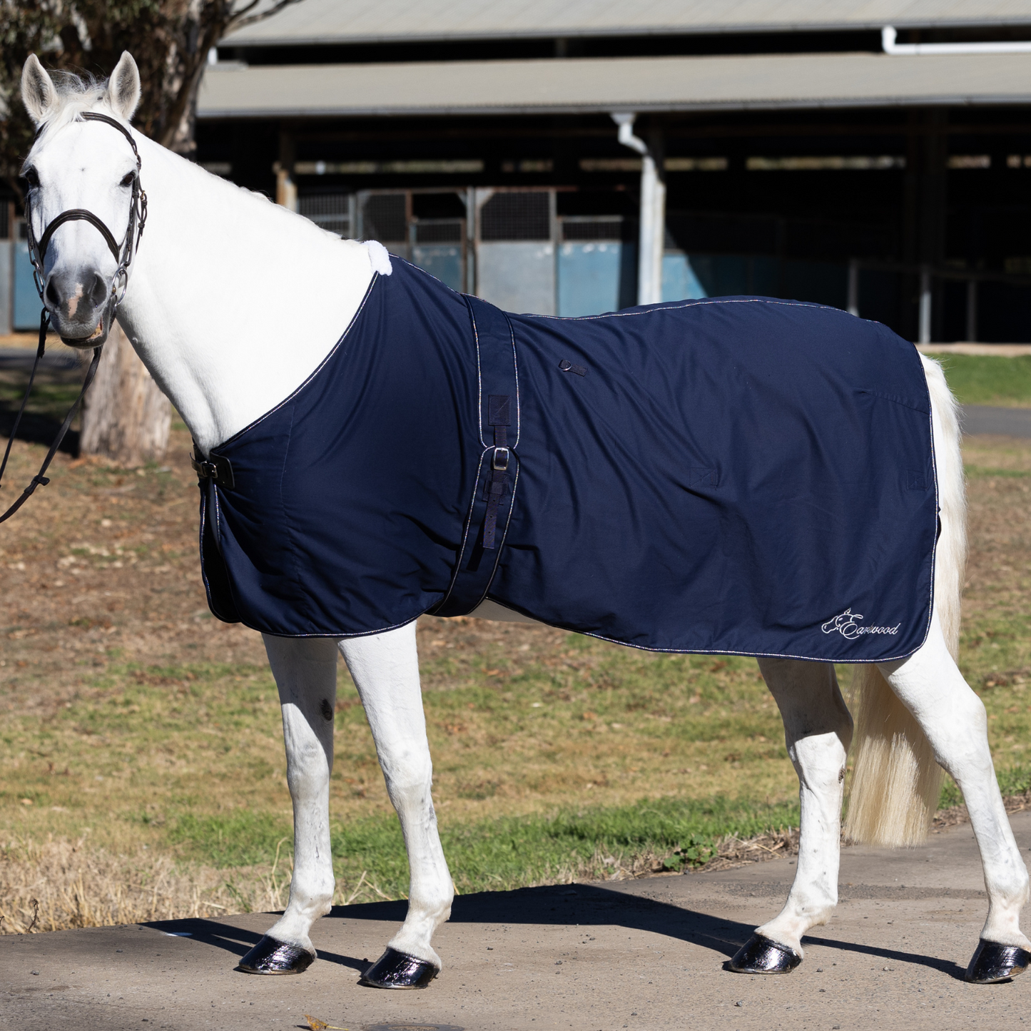 Earlwood Navy-SILVER Cotton Show Rug & Tail Bag