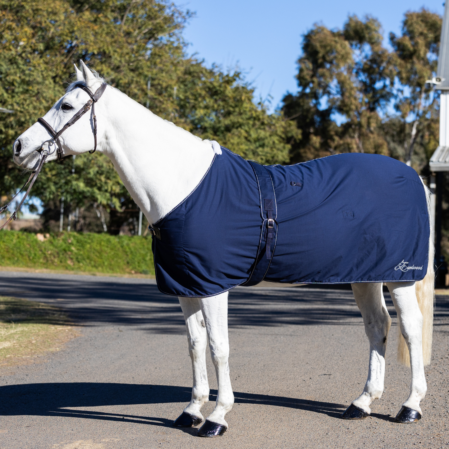 Earlwood Navy-SILVER Cotton Show Rug & Tail Bag