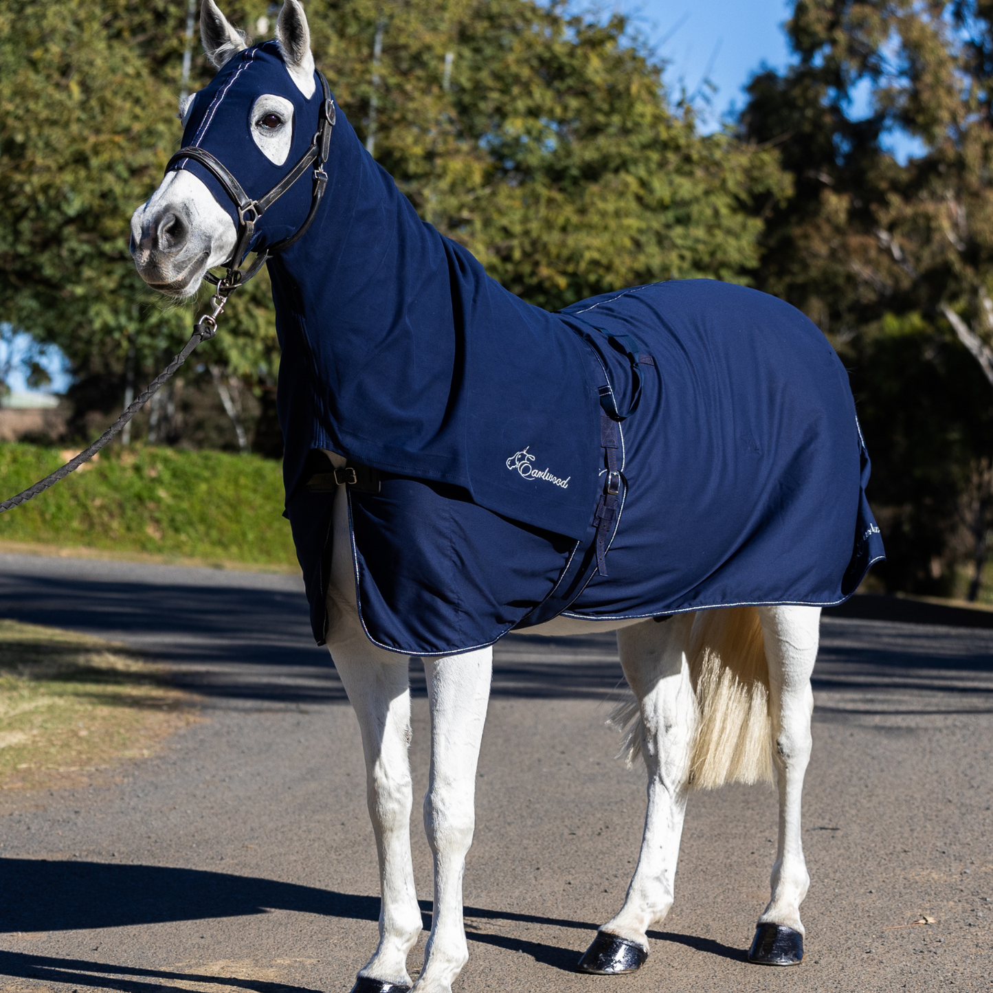 Earlwood Navy-SILVER Cotton Show Rug & Tail Bag