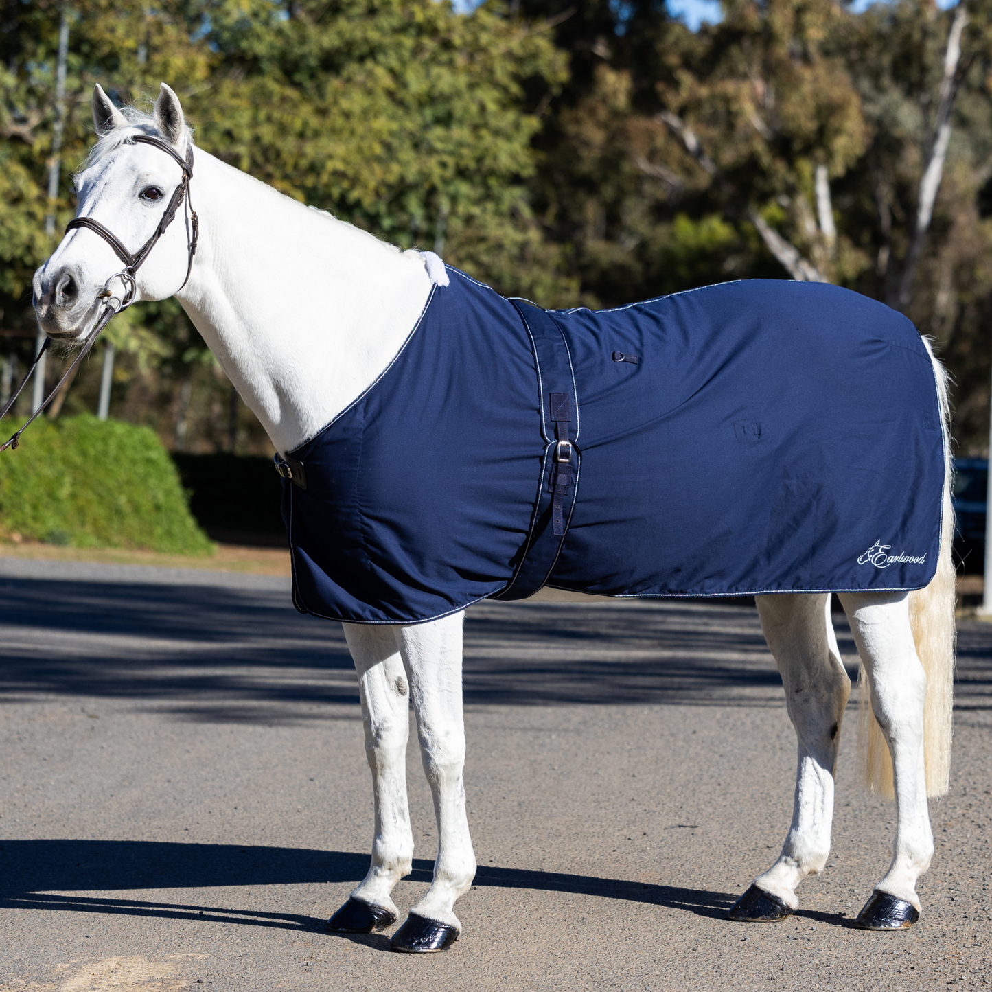 Earlwood Navy-SILVER Cotton Show Rug & Tail Bag