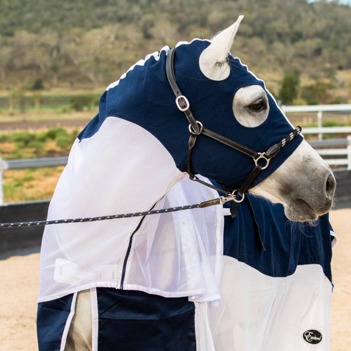 Earlwood Navy/White MESH Hood