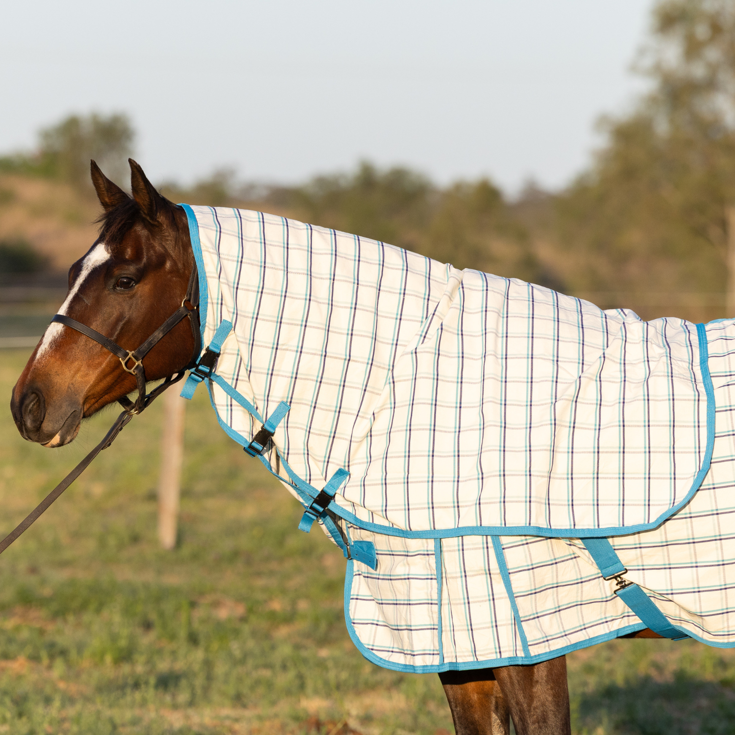Earlwood Ripstop Neck Rug – Earlwood Equine