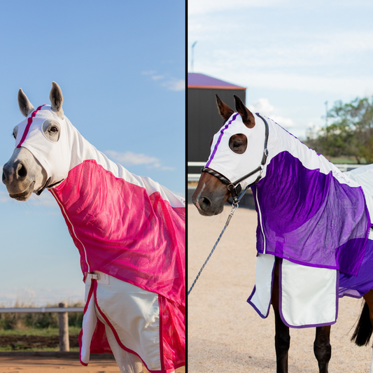 Summer Rug SALE Collection Earlwood Equine