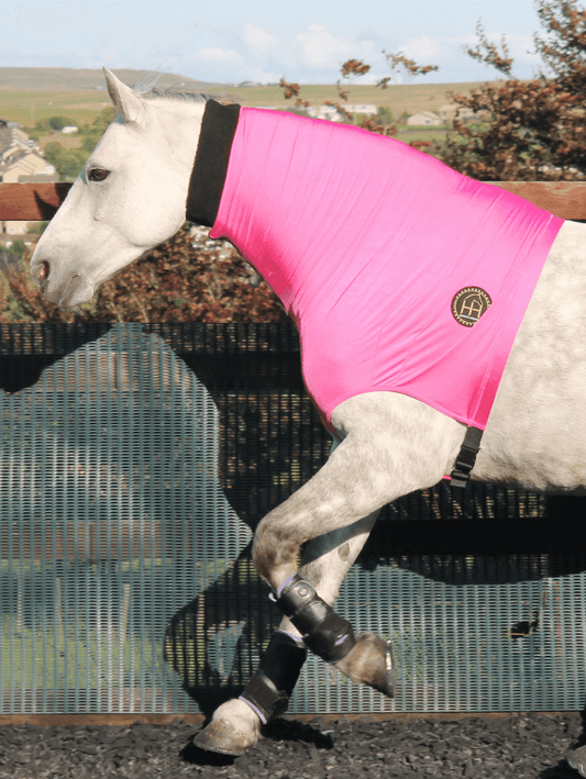 Horse wearing Headless HorzeHood in Pink