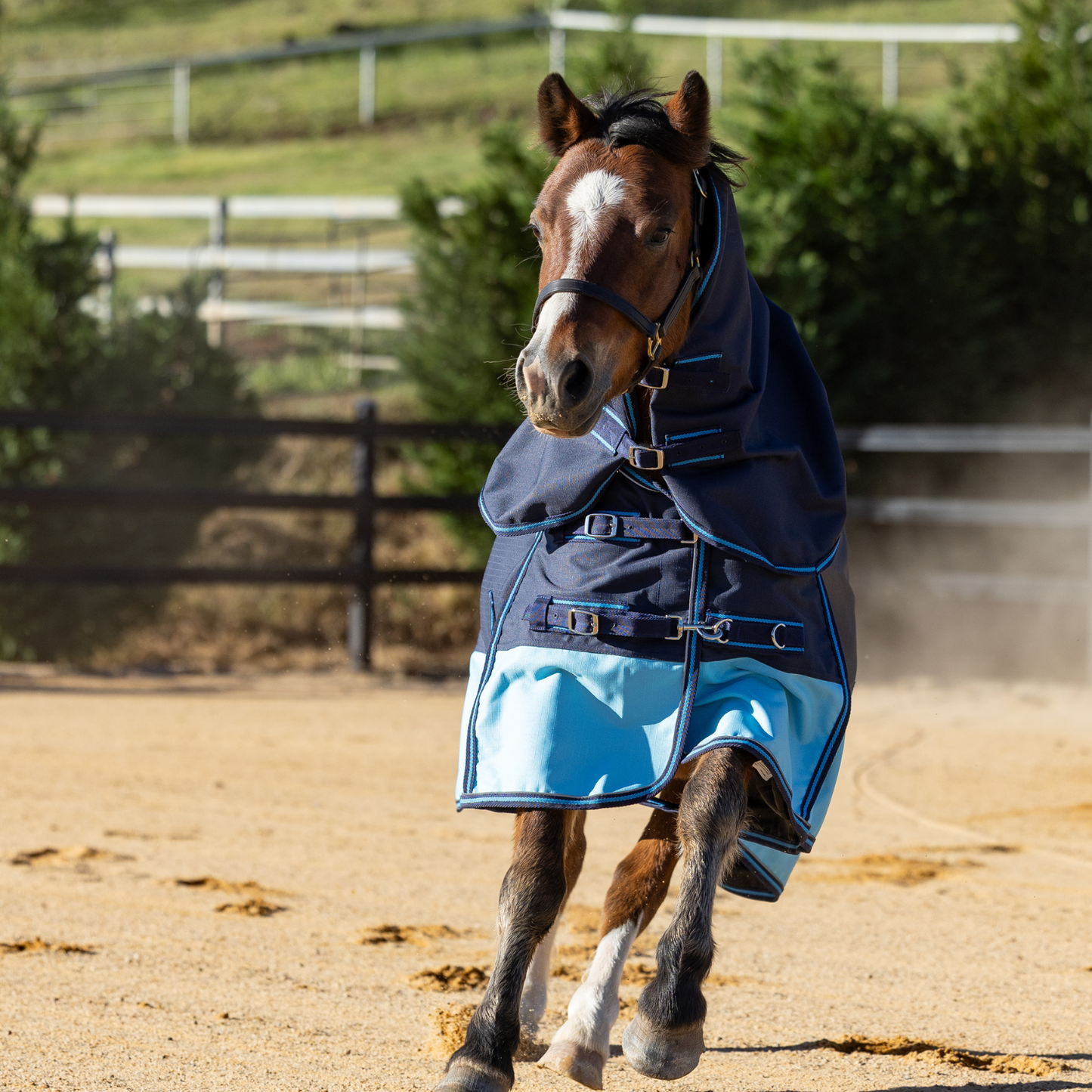 Earlwood Pluvia Detacha Neck RAINSHEET Combo