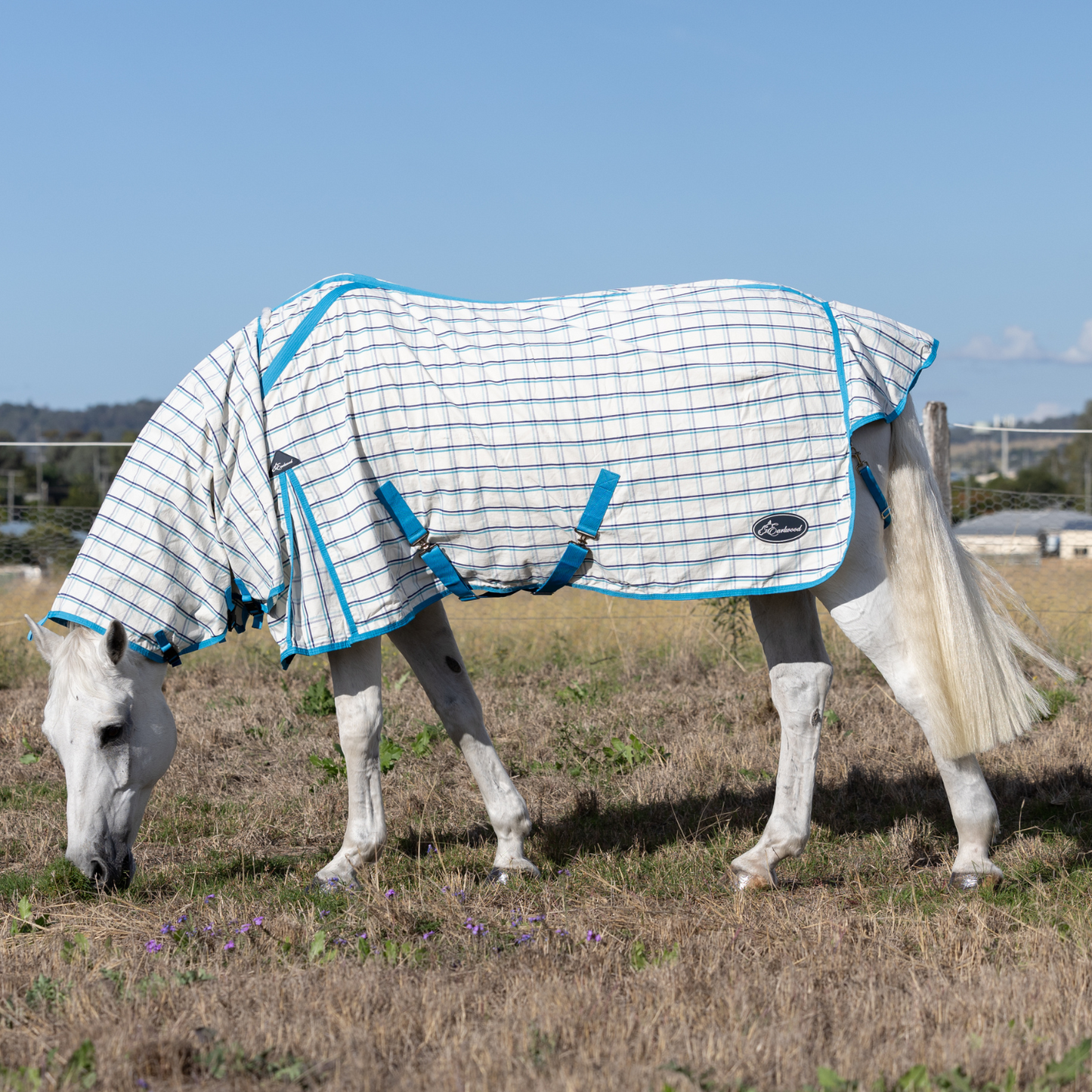 Earlwood Ripstop Combo White-Turquoise