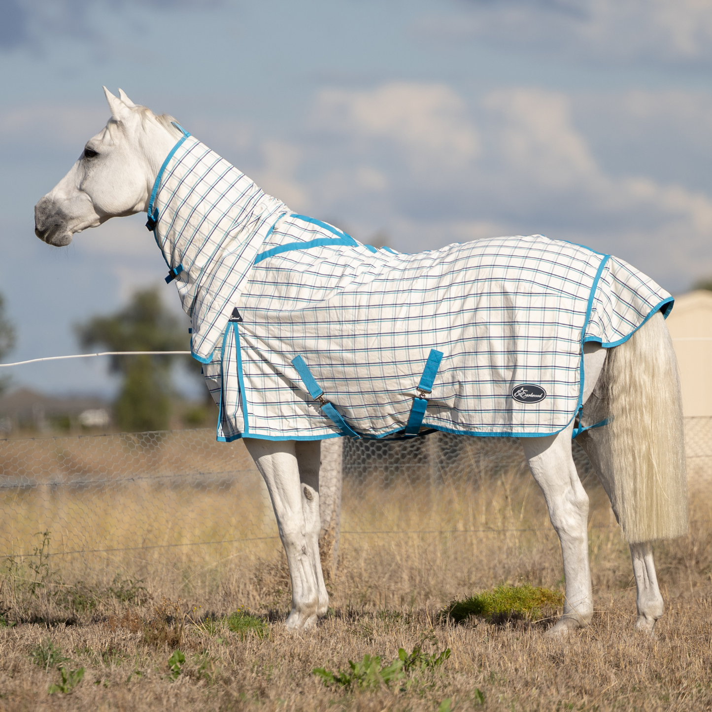 Earlwood Ripstop Combo White-Turquoise