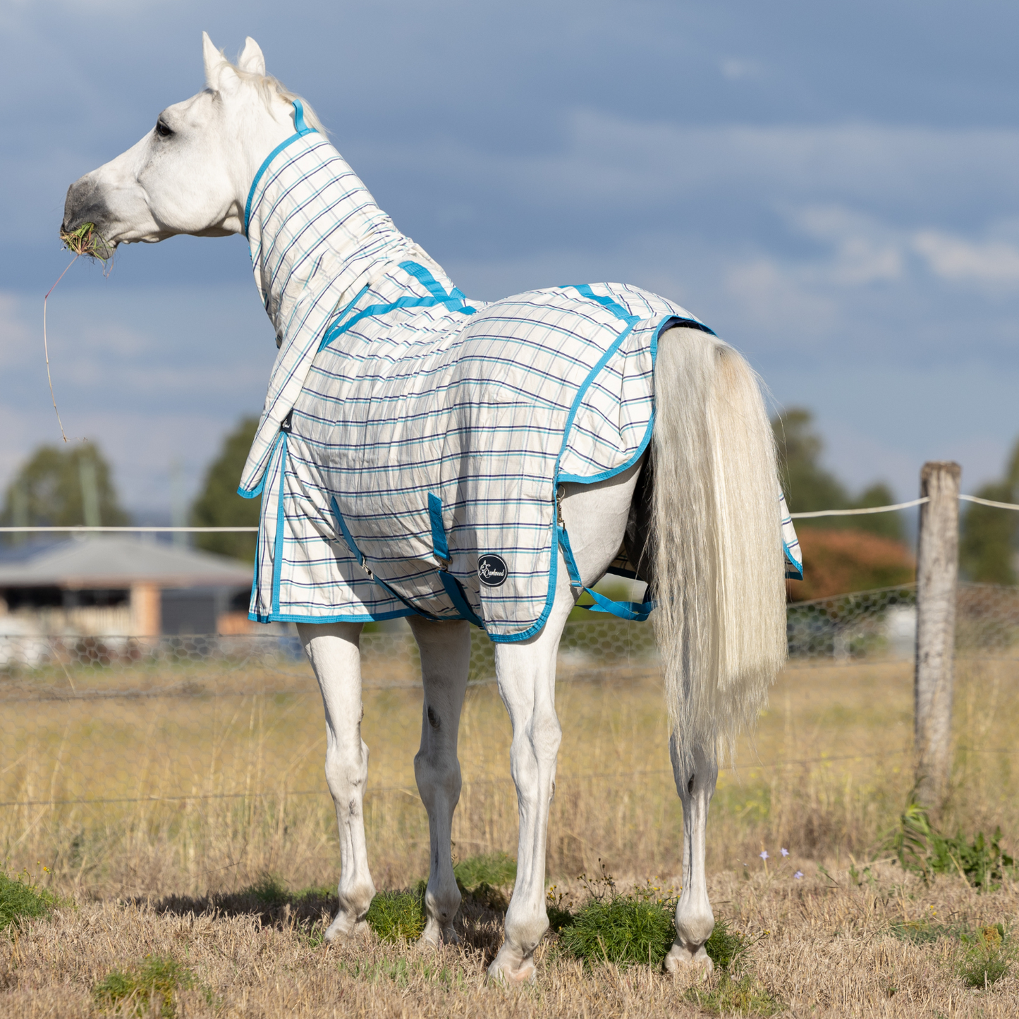 Earlwood Ripstop Combo White-Turquoise