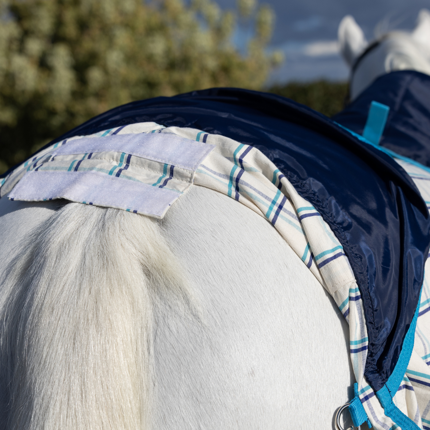 Earlwood White Turquoise Check Tail Bag