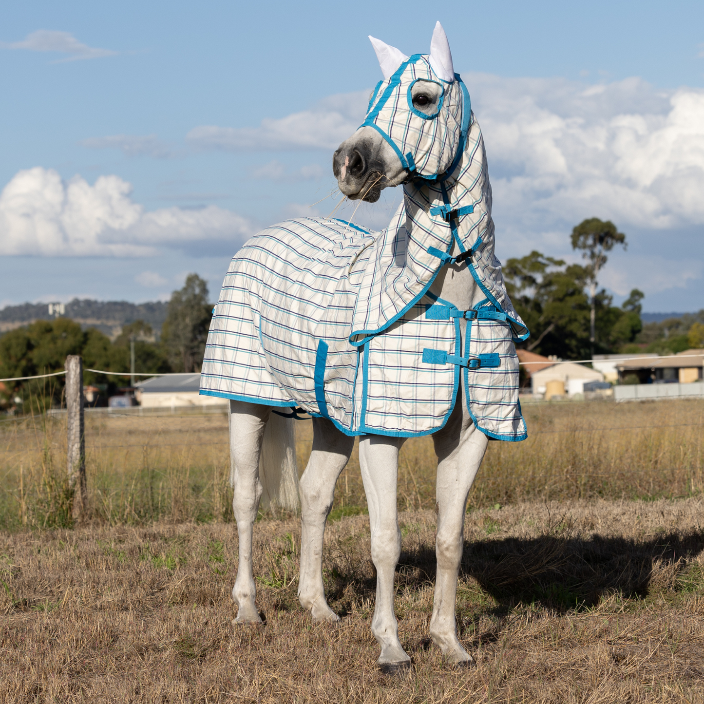 Earlwood Ripstop Hooded Combo White-Turquoise