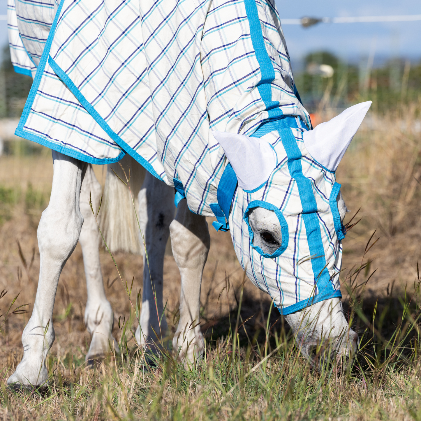 Earlwood Ripstop Hooded Combo White-Turquoise