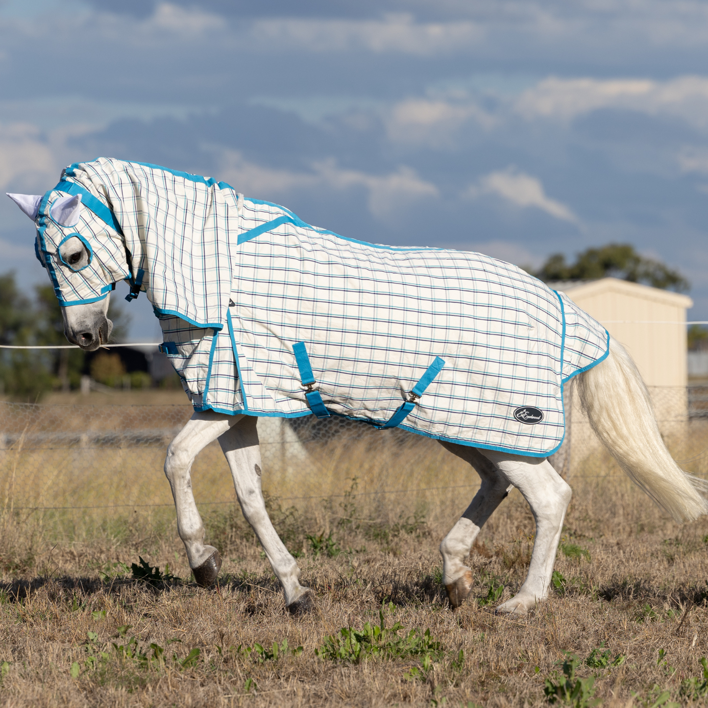 Earlwood Ripstop Hooded Combo White-Turquoise