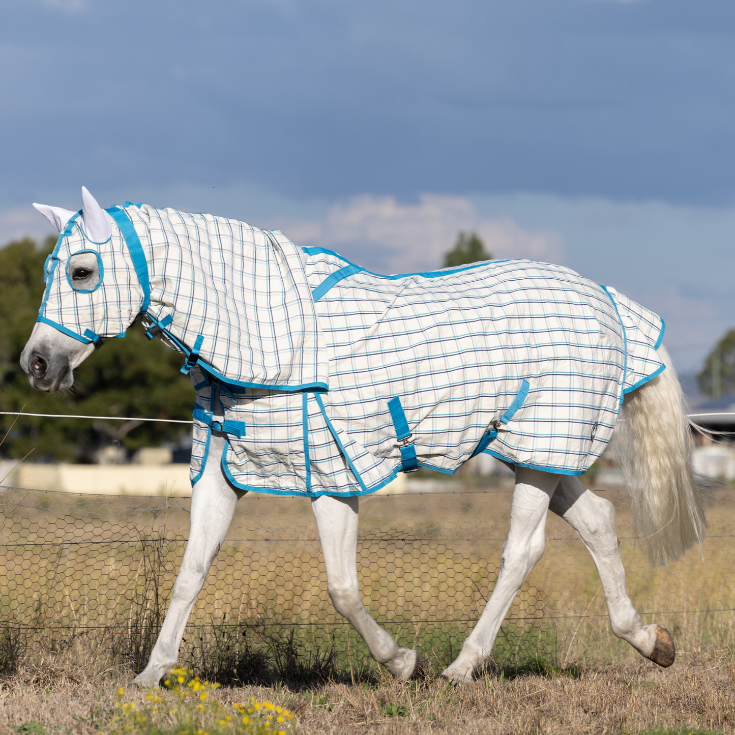 Earlwood Ripstop Hooded Combo White-Turquoise