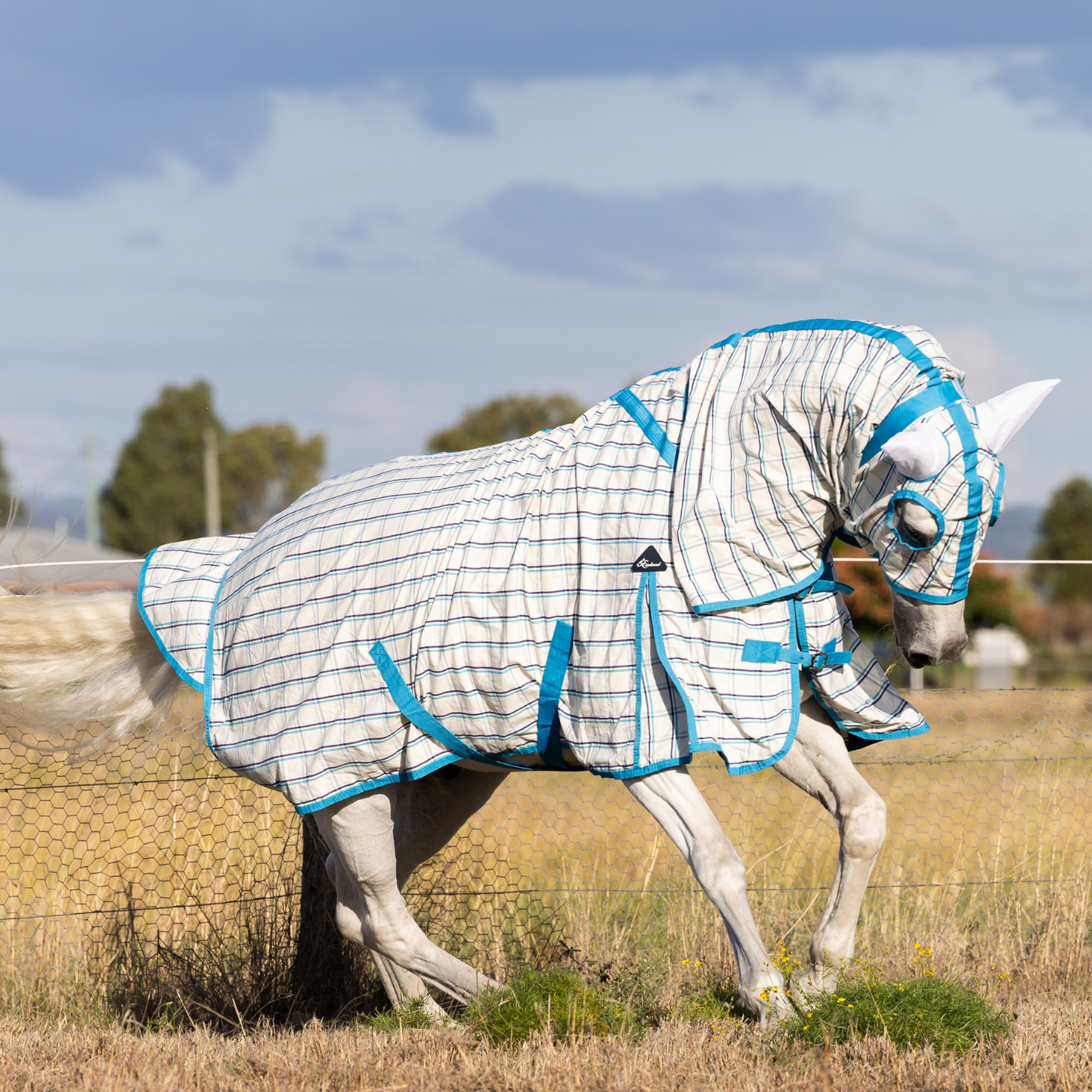 Earlwood Ripstop Hooded Combo White-Turquoise