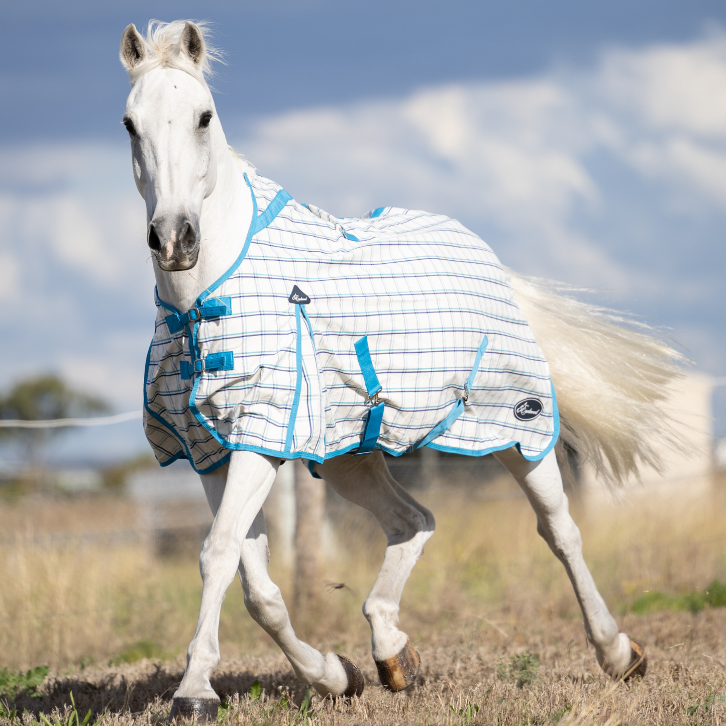 Earlwood Ripstop Rug White-Turquoise