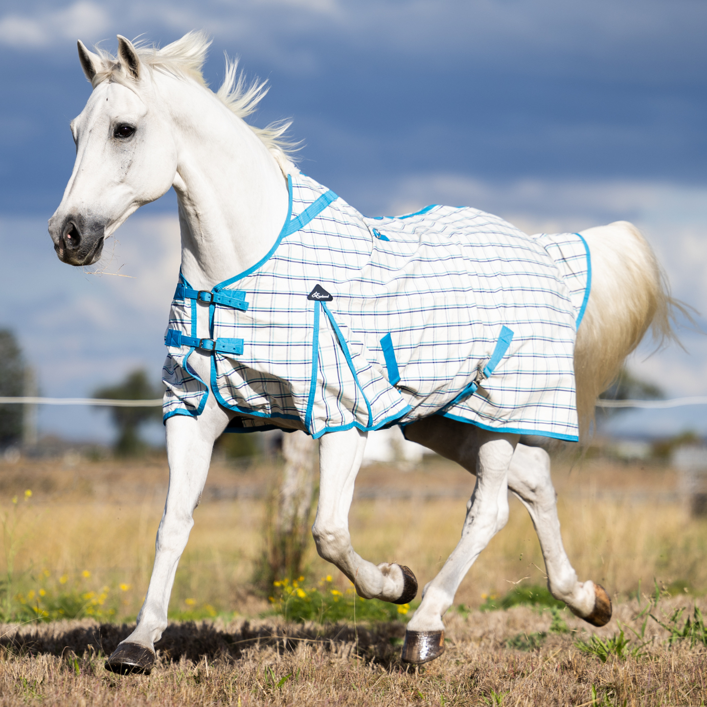 Earlwood Ripstop Rug White-Turquoise