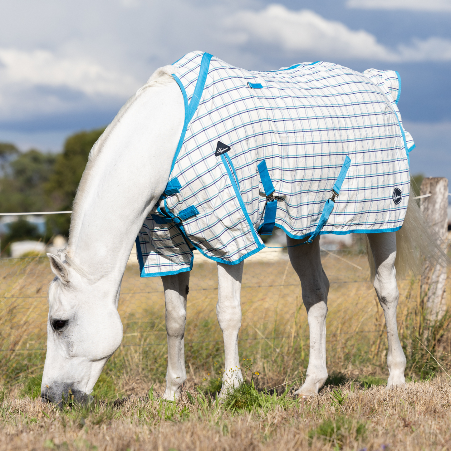 Earlwood Ripstop Rug White-Turquoise