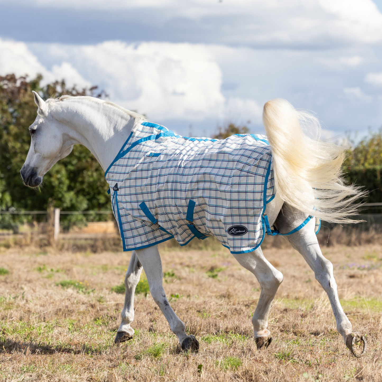 Earlwood Ripstop Rug White-Turquoise