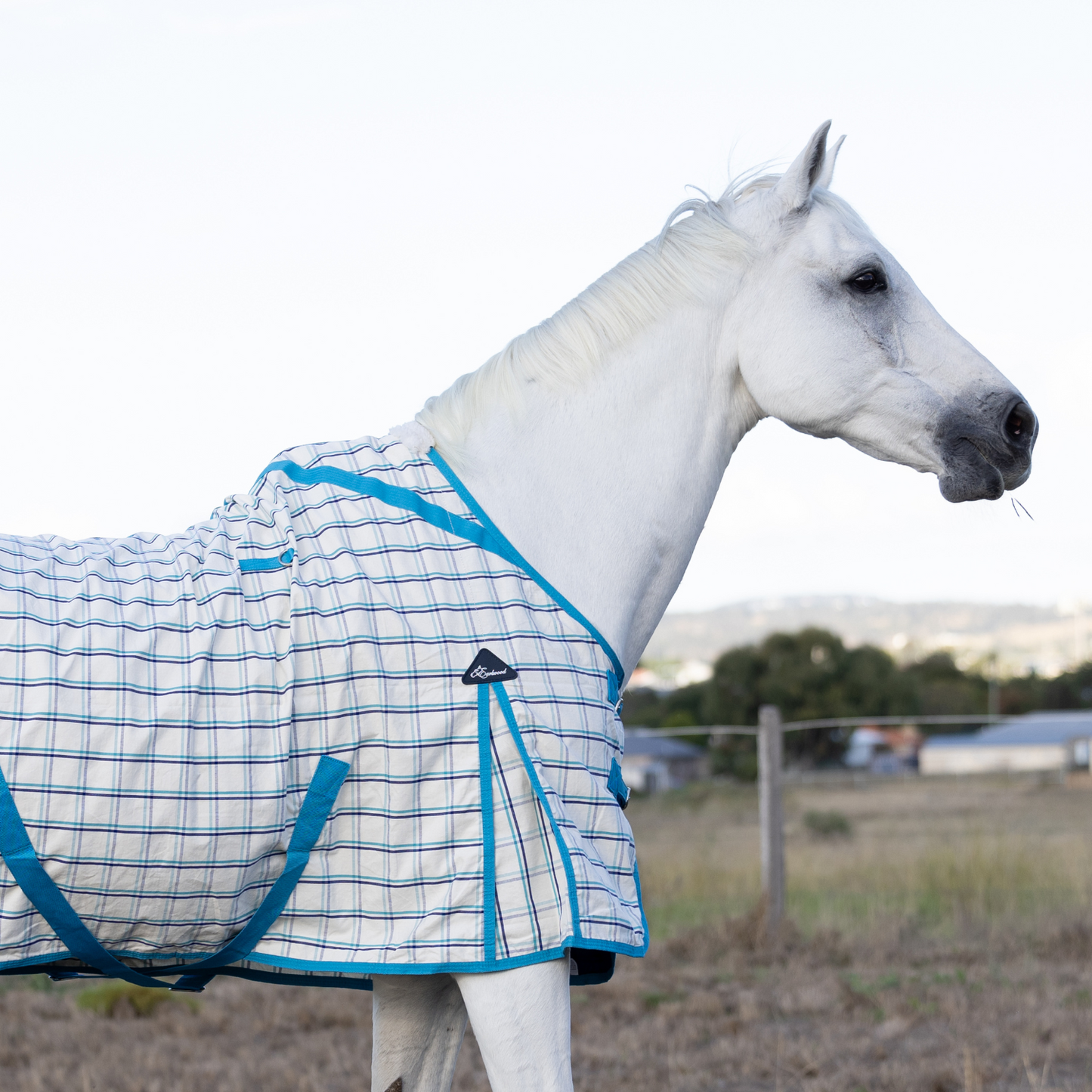 Earlwood Ripstop Rug White-Turquoise