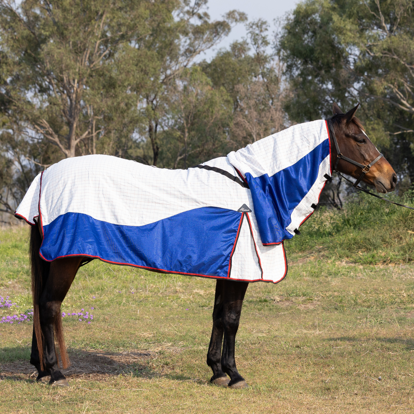 Earlwood Airflow Ripstop Combo - ROSELLA
