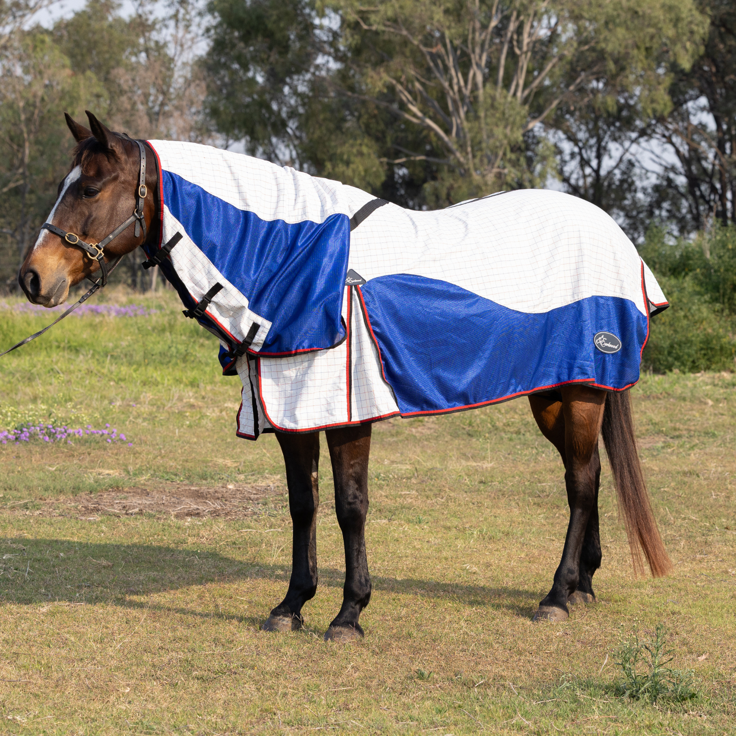 Earlwood Airflow Ripstop Combo - ROSELLA