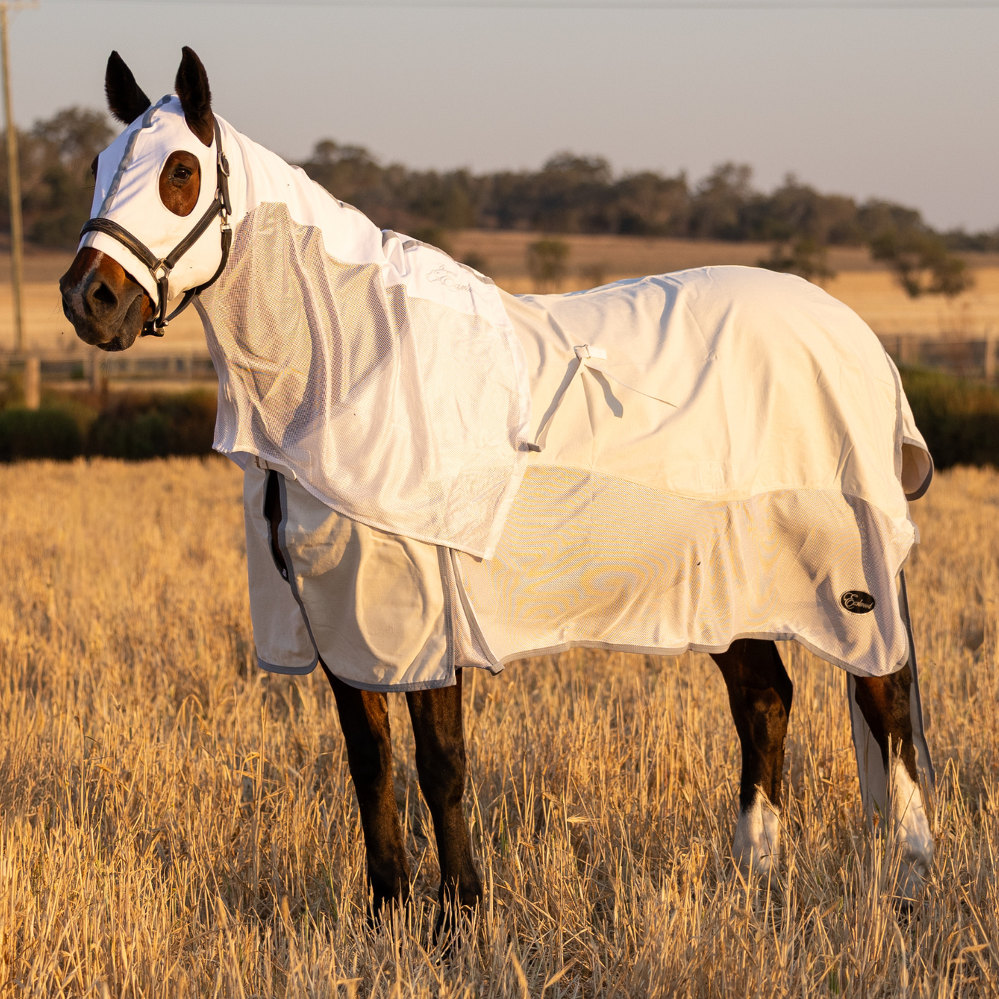 PREORDER Earlwood Seagull Mesh Ripstop Rug