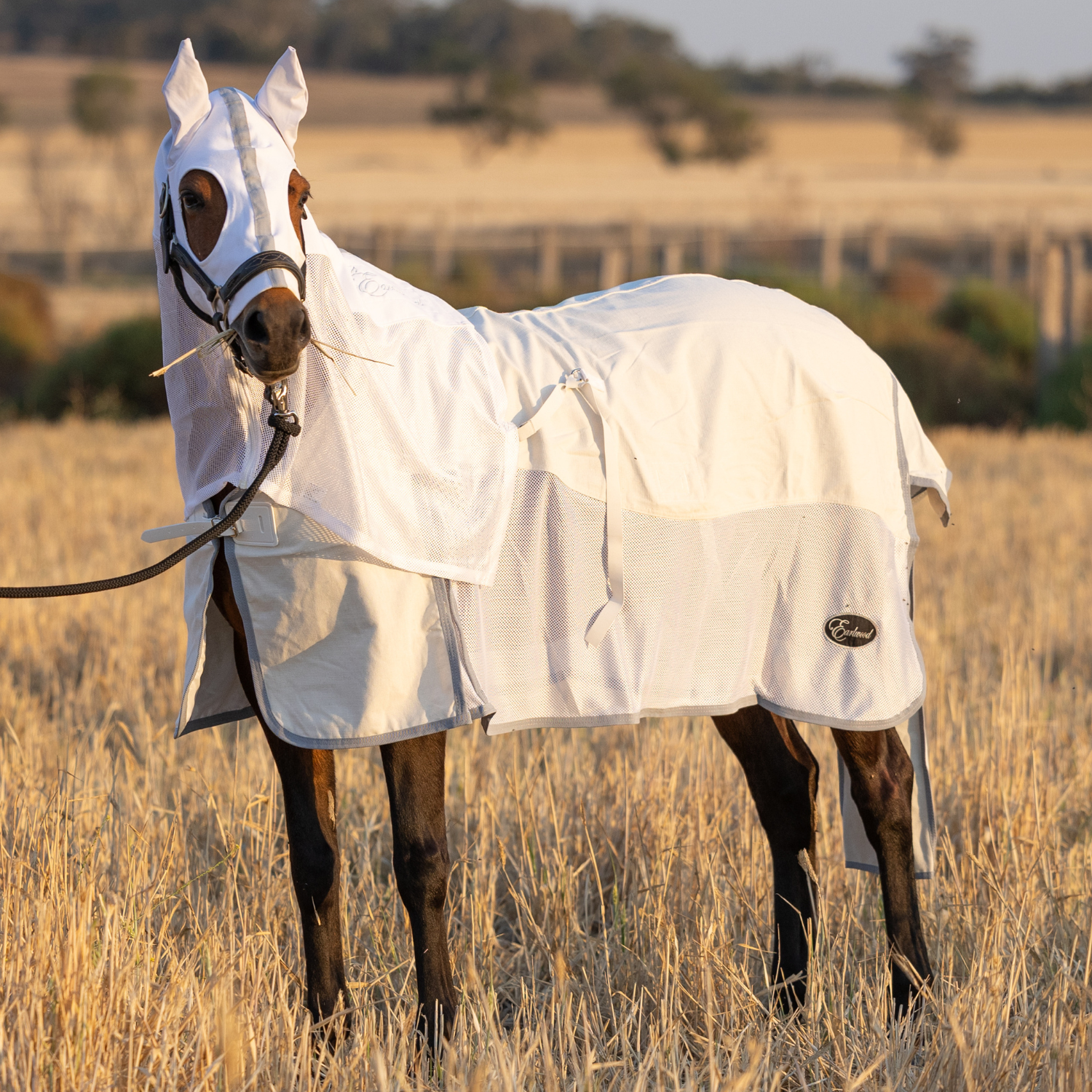 Earlwood Seagull Mesh Ripstop Rug – Earlwood Equine