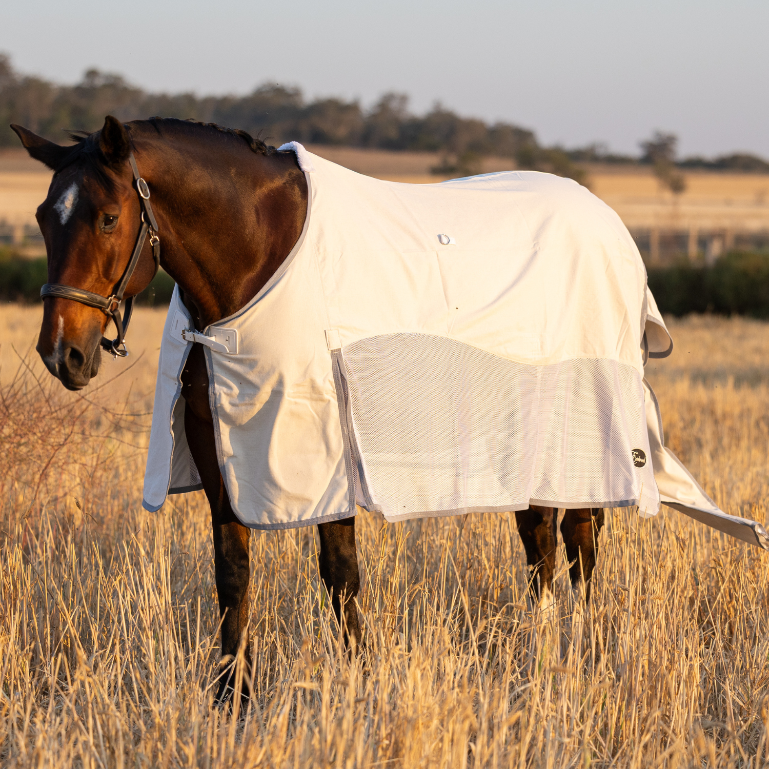 Earlwood Seagull Mesh Ripstop Rug – Earlwood Equine