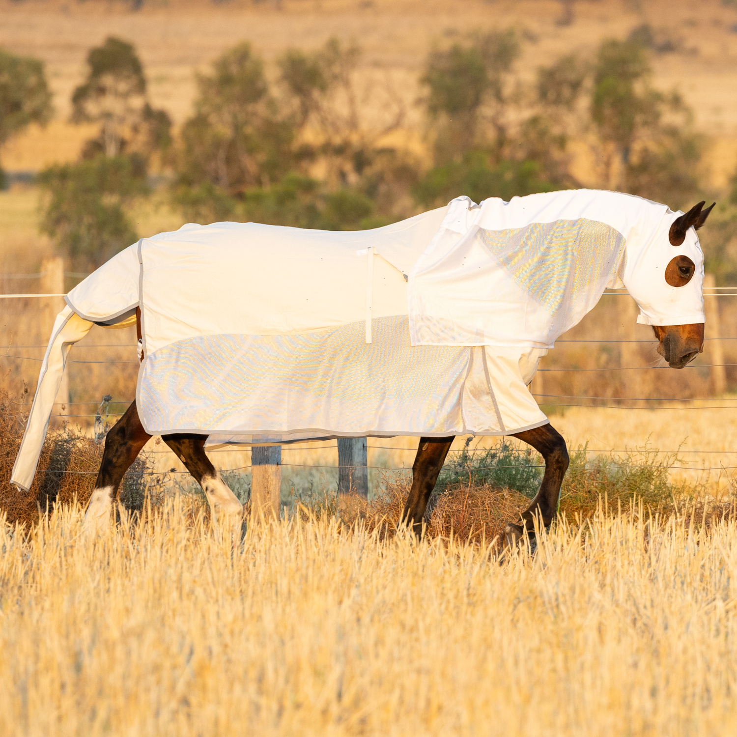 Earlwood Seagull Mesh Ripstop Rug – Earlwood Equine