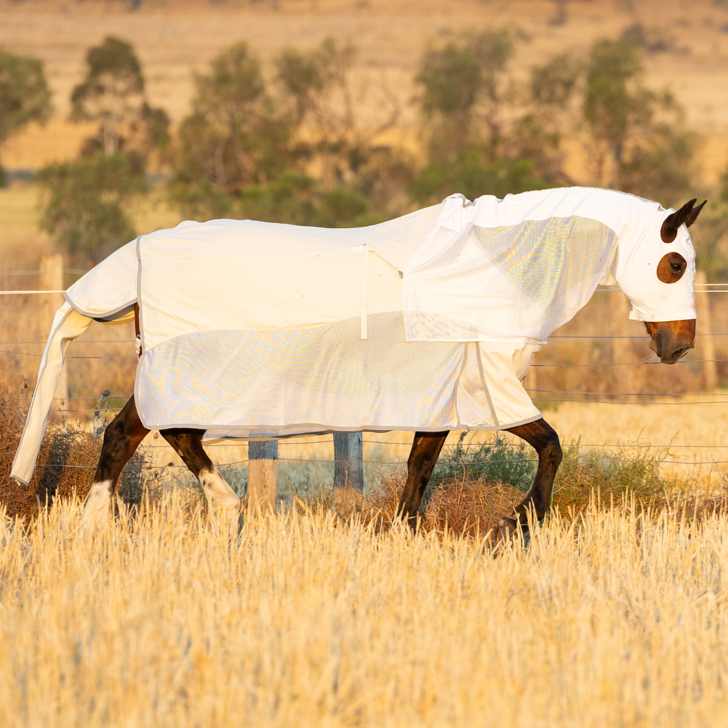 PREORDER Earlwood Seagull Mesh Ripstop Rug