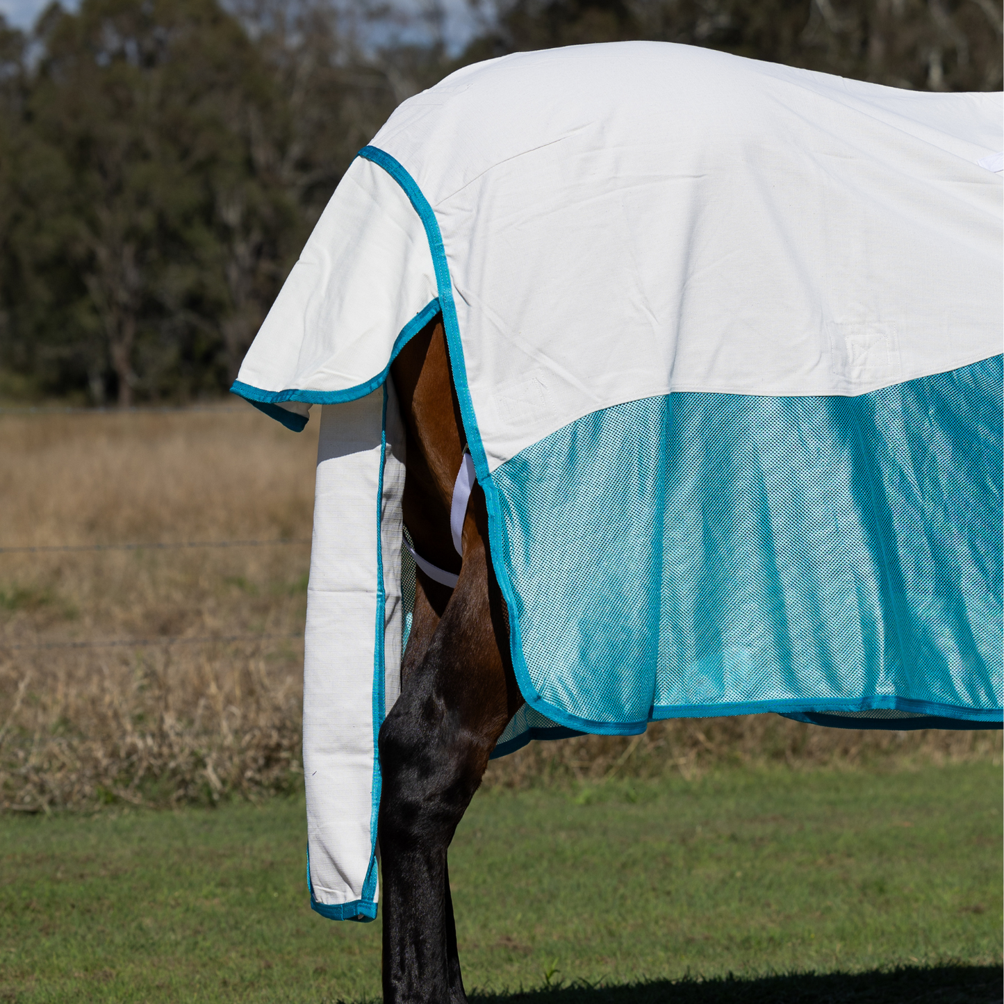 White-Turquoise Earlwood Tail Bag