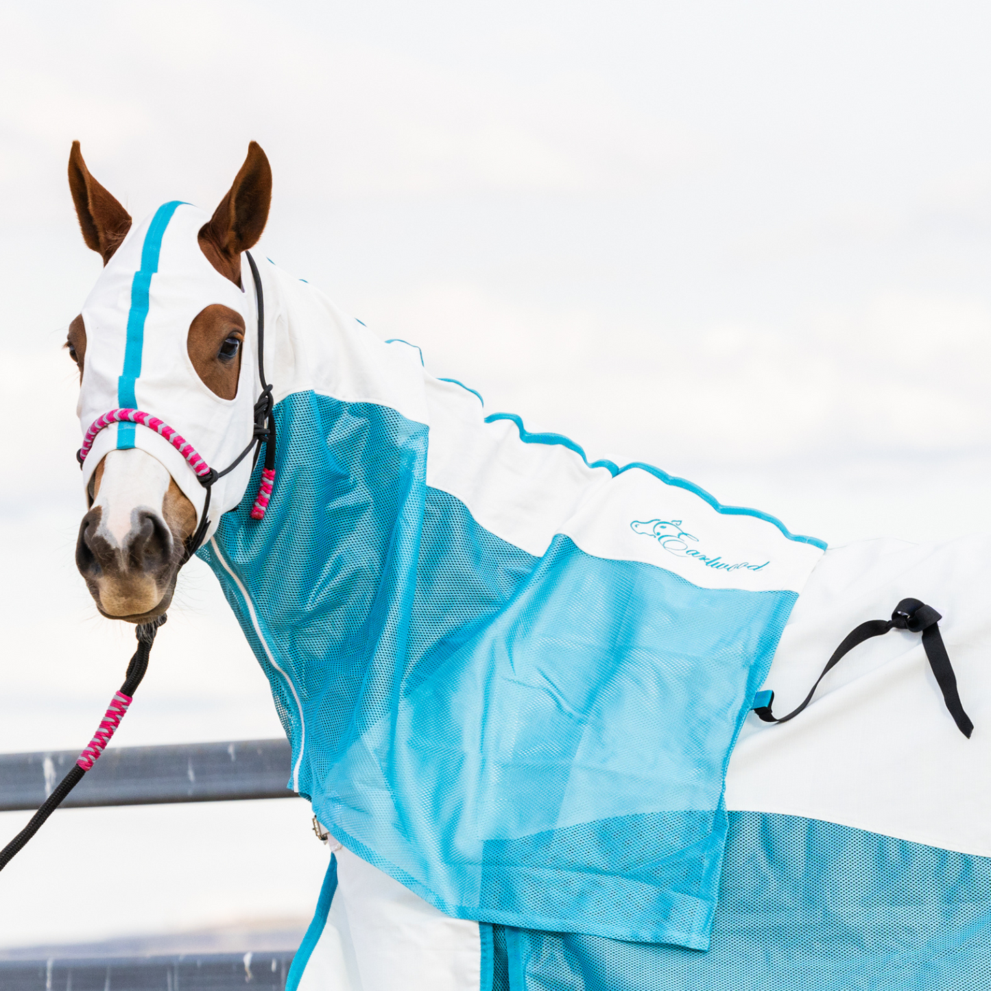 Earlwood White/Turquoise MESH Hood