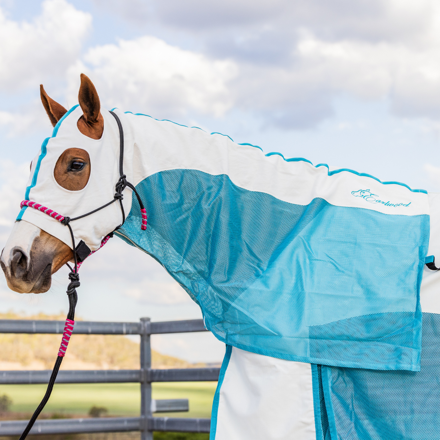 Earlwood White/Turquoise MESH Hood