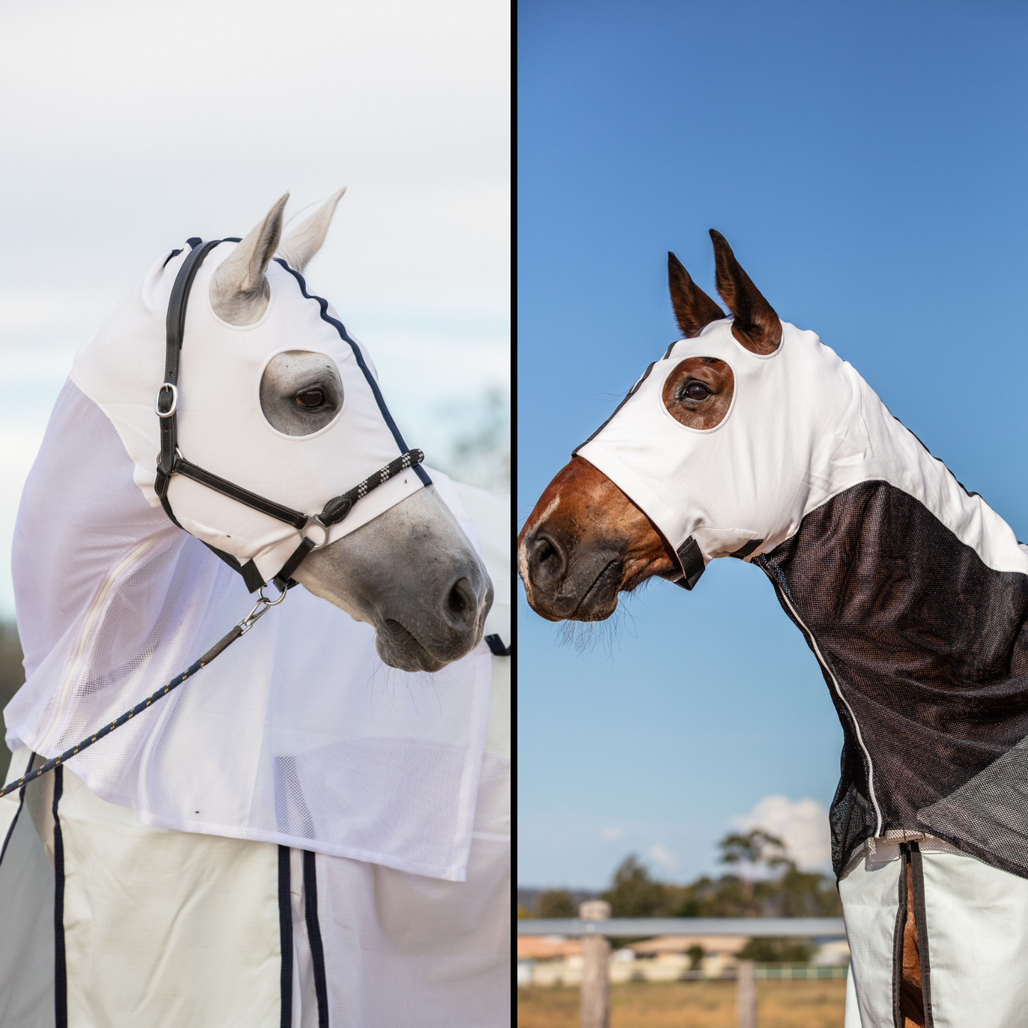 Earlwood White & Black MESH Hoods