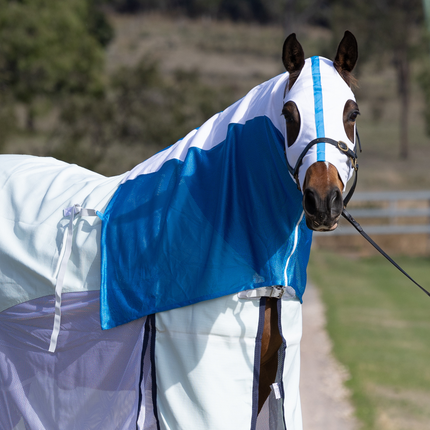 Earlwood White/Electric Blue MESH Hood