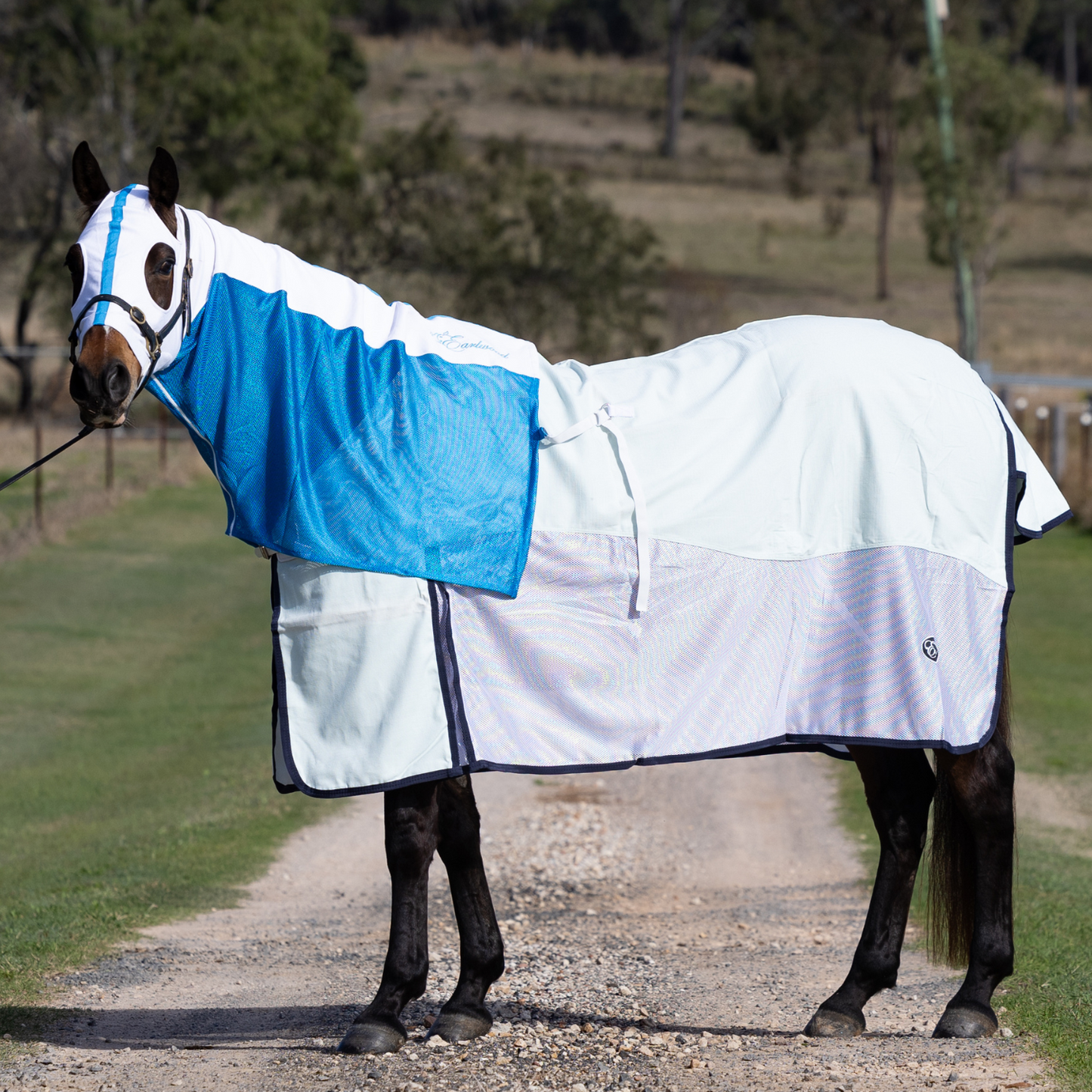 Earlwood White/Electric Blue MESH Hood