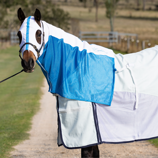 Earlwood White/Electric Blue MESH Hood