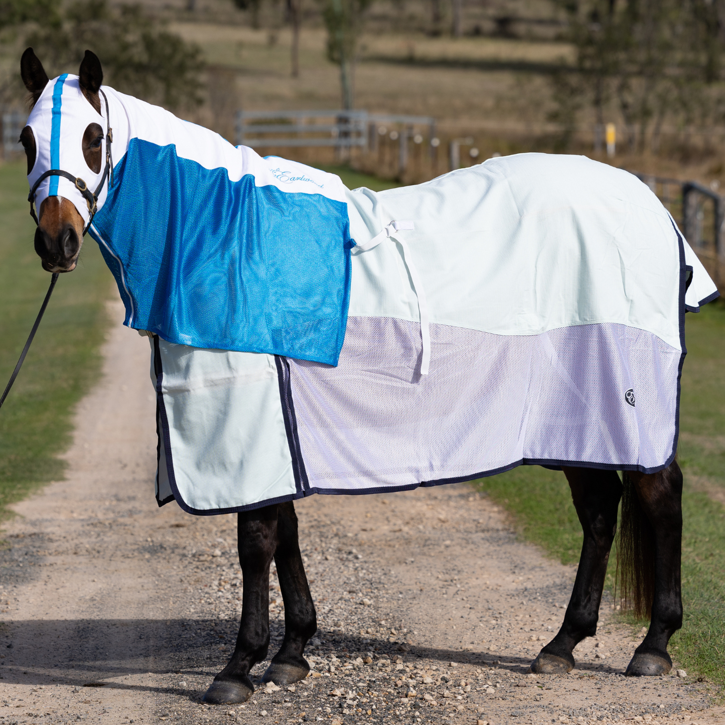 Earlwood White/Electric Blue MESH Hood