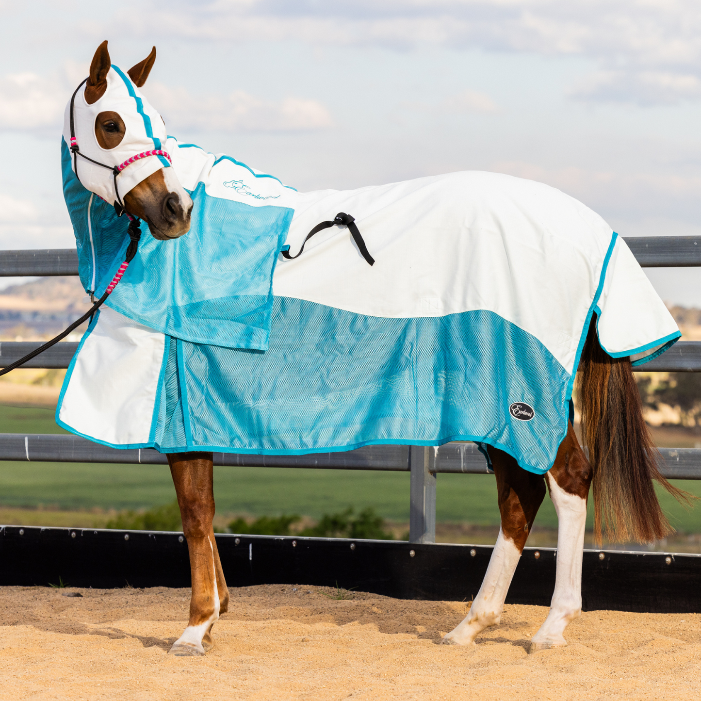 Earlwood Turquoise MESH Ripstop Rug