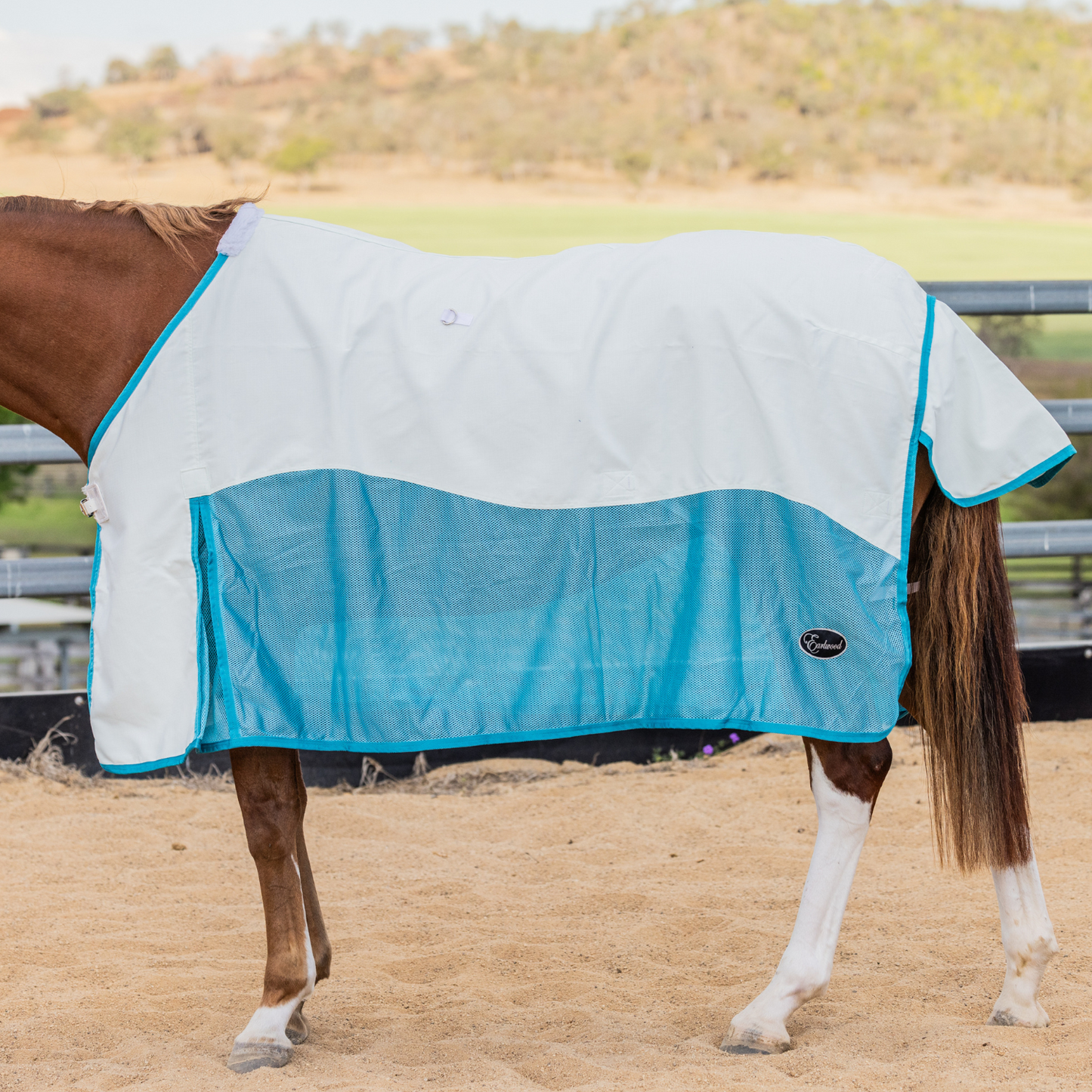 Earlwood Turquoise MESH Ripstop Rug