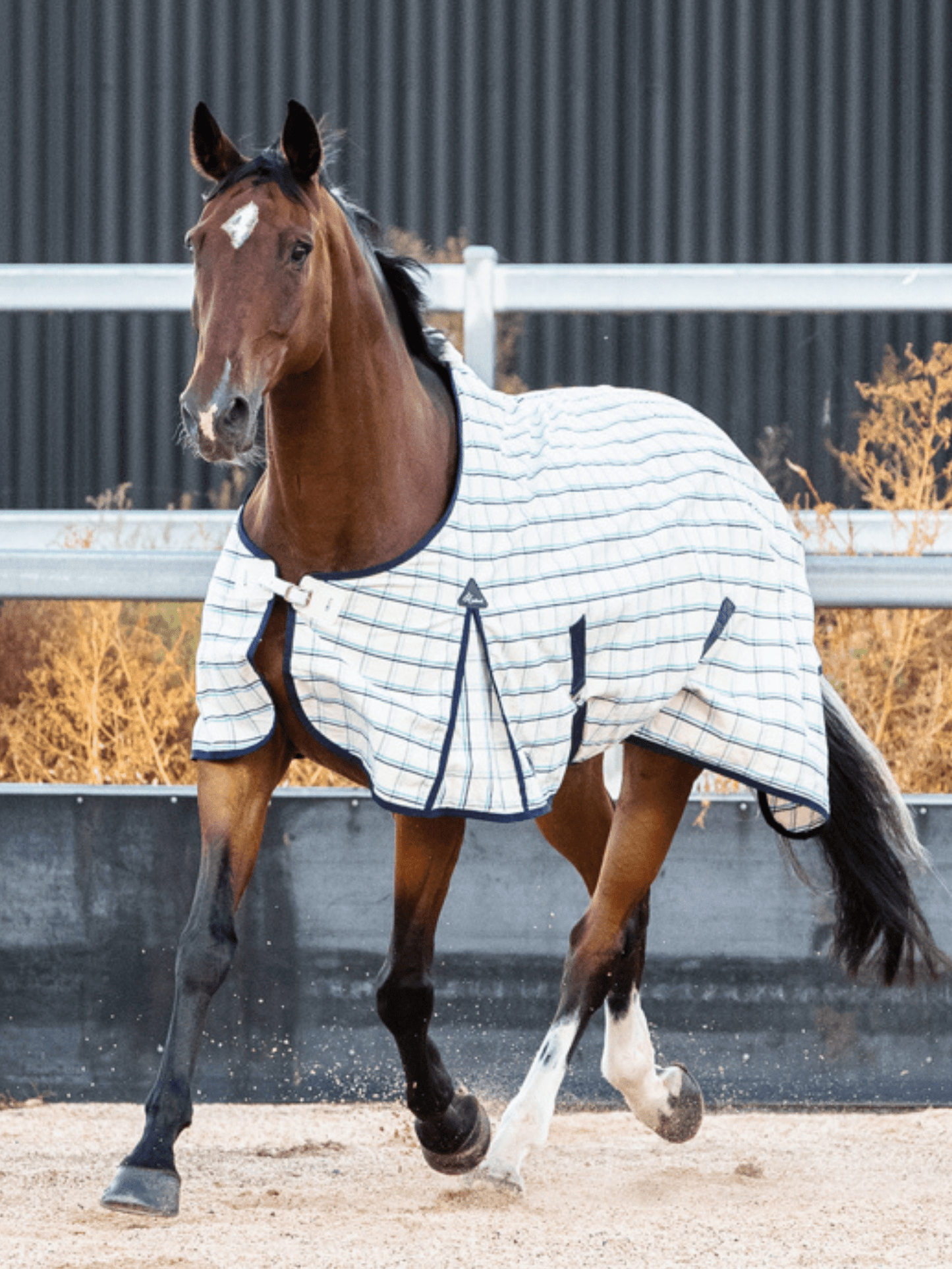 Earlwood Dual Season FLEECE Lined Rug