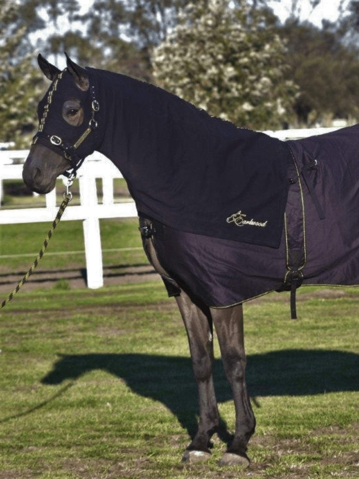 Horses in Earlwood Black Label Hood - ZIPPED UP