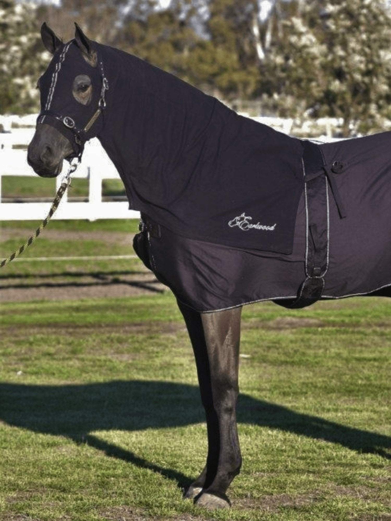 Horses in Earlwood Black Label Hood - ZIPPED UP